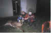Denault06.jpg (60847 octets)