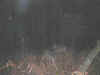 Gratta10.jpg (20845 octets)