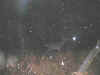 Gratta12.jpg (25022 octets)