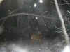 Gratta14.jpg (30804 octets)