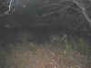 Gratta5.jpg (27568 octets)