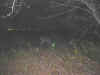 Gratta6.jpg (27405 octets)