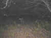 Gratta8.jpg (27424 octets)