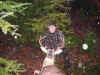 Real_Barbe05.jpg (32236 octets)