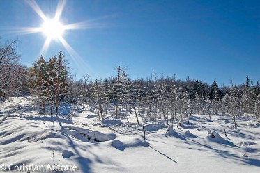 LAISSEZ ENTRER LE SOLEIL par Christian Autotte