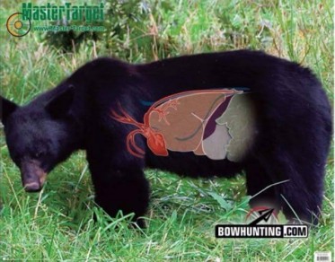 Le mystère de l'ours noir