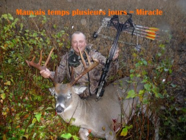 Une rcolte travaille