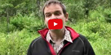 Comment reconnatre un milieu humide et quoi faire avec ?