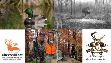 Gagnants du concours de photos Chevreuil.net 2016