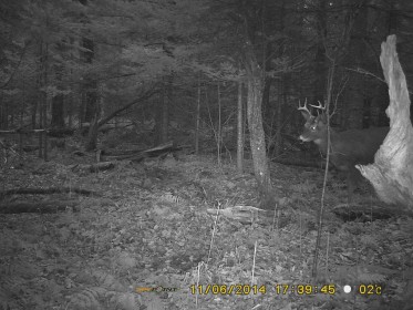 Il ne peut rsister  la tentation de visiter le secteurs plus souvent vous offrant de belles opportunits