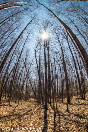 LES JOIES DU FISHEYE par Christian Autotte