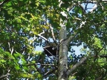 Les courants thermiques