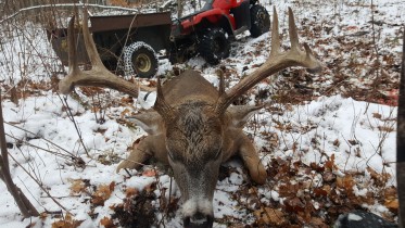 Superbe 9 pointes de 23 pouces de large