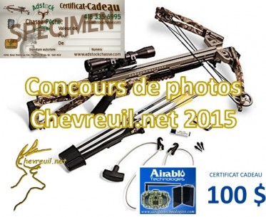 Les gagnants du concours de photos 2015 dvoils !
