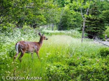 PHOTOGRAPHIE EN RANDONNE par Christian Autotte