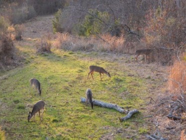 Blogue de Guillaume Paquette