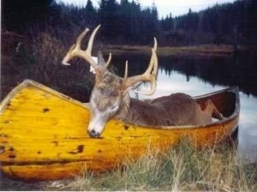 Technique d'apptage  toutes preuves