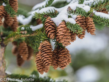 VACANCES D'HIVER par CHRISTIAN AUTOTTE