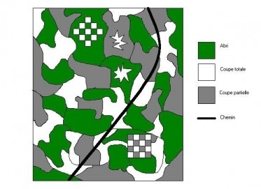 L'amnagement du gros gibier.