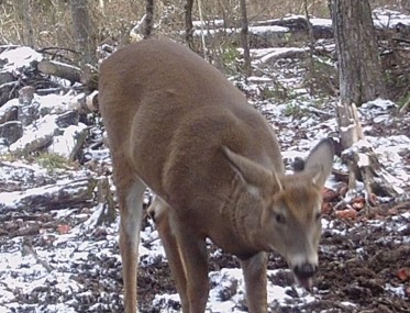 Protgeons les jeunes mles avec ou sans loi...