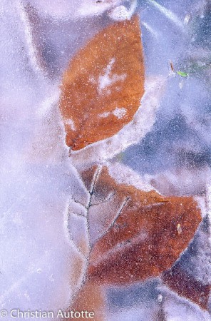 Attention: Belle glace!