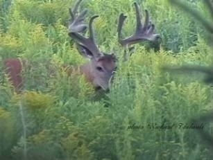 Soyez fier de votre rcolte !