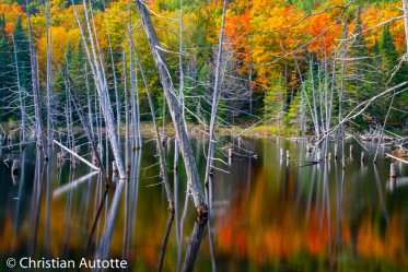 PHOTOGRAPHIER LE PAYSAGE: OÙ PLACER L'HORIZON par Christian Autotte