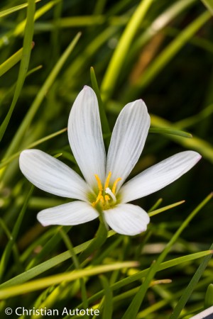 LES QUESTIONS DU PHOTOGRAPHEpar Christian Autotte