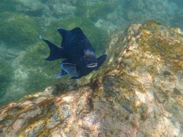 L'Olympus TG-5, un appareil versatile qui vous suit partout.