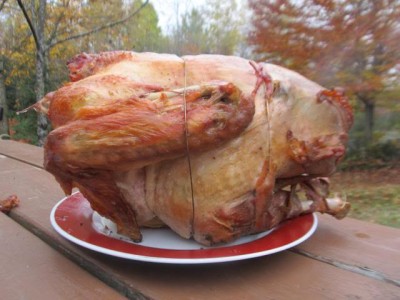 Dindon à la poubelle