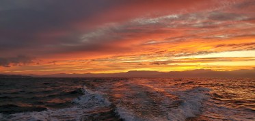 Pêche en mer, Mexique 2020 par Pierre Chabot