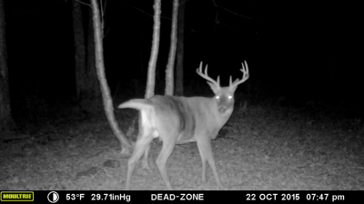 gros buck mature du sud qubcois