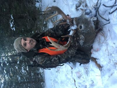 Un monstre de l'le !