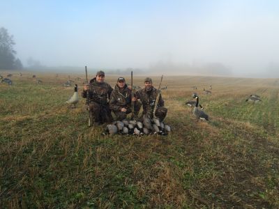 Chasse a l'outarde un matin brumeux