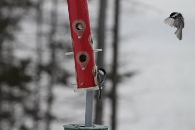 Attention j'arrive !