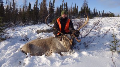 Chasse au caribou
