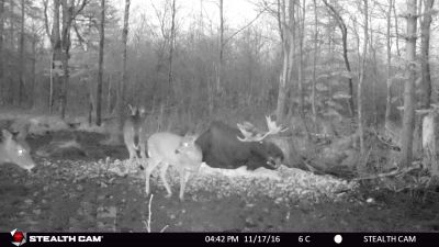 C'est confortable ce lit l, mais il y a un peu trop de traffique !