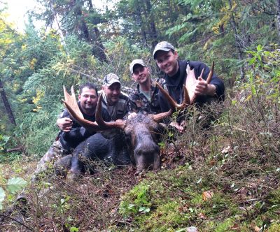 Chasse  l'orignal  l'arc 2015