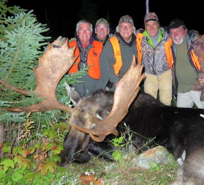 Le roi est mort, vive le roi