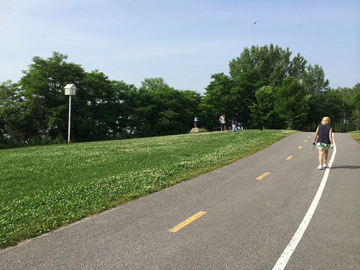 Photo du condominium d'hirondelles