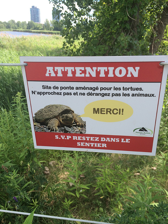 Photo du pancarte annonant un site de ponte amnag pour les tortues