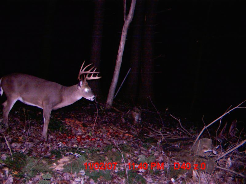 Automne 2007