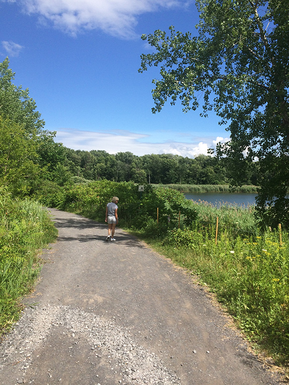 Photo du chemin de gravier vers le Lac des battures.