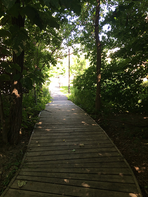 Photo du sentier se dirigeant vers la sortie