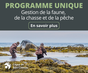 Cegep de Baie Comeau 2022-2023