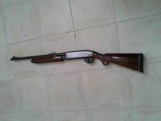 12 Remington 870 wingmaster