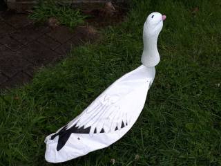 Oies appelant socks avec ttes