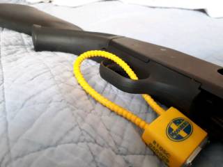 12 pompe moosberg modele 535 ATS